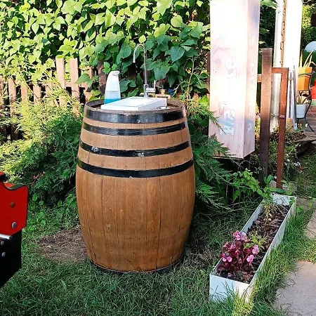 Keltike * 瑙吉伯尔热尼